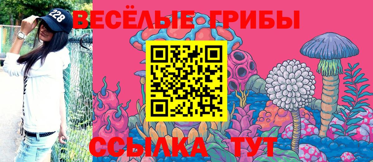 Псилоцибиновые грибы Magic Shrooms  Вход с VPN  Карталы 